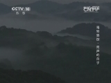 地理中国 《地理中国》 20140806 毒物追踪-无声的杀手