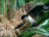 人与自然 人与自然 2010年 第3期 2010-12-05