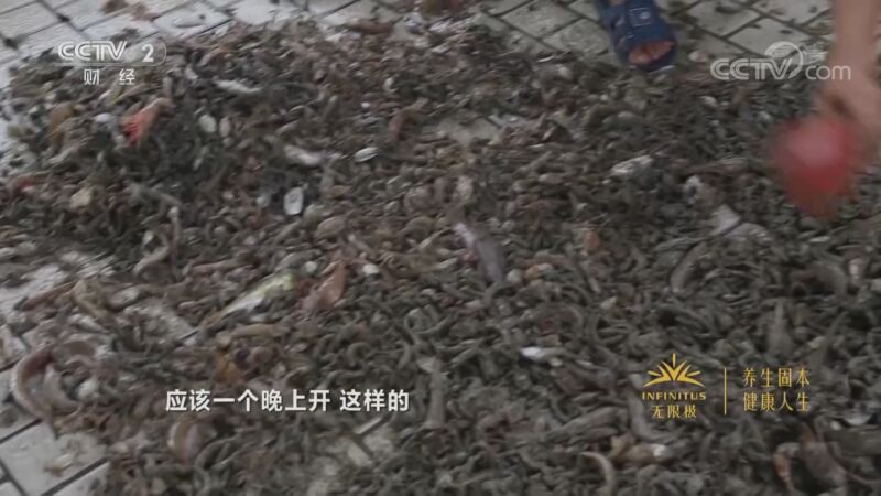 消费主张 《消费主张》 20201014 海鲜市场消费调查（上）