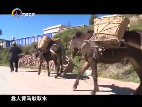 情暖人间 《情暖人间》 20151116 筑梦云南影像志 生命的奉献