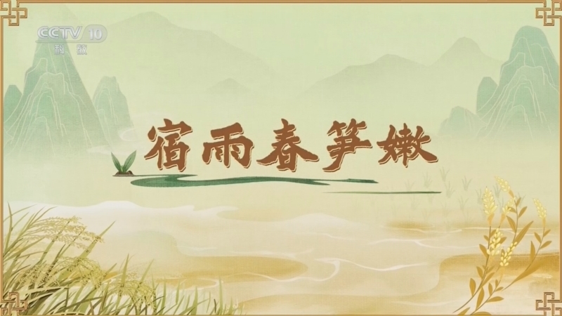 百家讲坛 《百家讲坛》 20260626 食物的历史（第二部） 7 宿雨春笋嫩