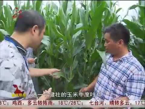 全省新闻联播 《全省新闻联播》 20140722