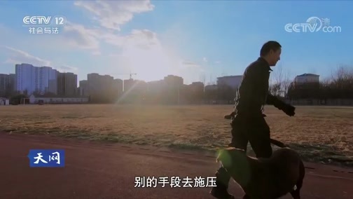 天网 《天网》 20191001 永远的战友·相守一生