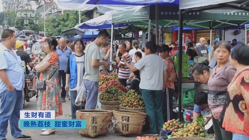 生财有道 《生财有道》 20240826 晚熟荔枝 甜蜜财富