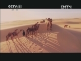 魅力纪录（CCTV-1综合频道） 《冰冻星球》 5 冬季