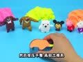 方块熊之趣味魔力沙 方块熊 动物大聚会