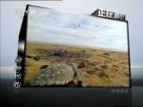 动物世界 动物世界 2011年 第81期