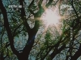 自然传奇 《自然传奇》 20141104 野性新天地