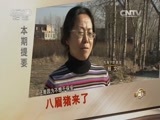 致富经 《致富经》 20160119 八眉猪来了