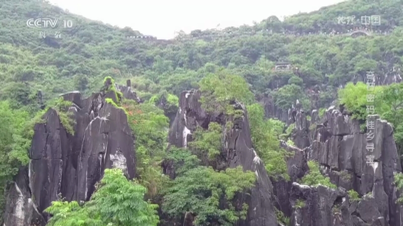 地理中国 《地理·中国》 20201218 奇石密码·桂乡寻宝
