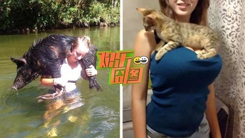 欢乐囧图 【欢乐囧图】无知的可怕！萌妹挑衅小猛兽惨遭反杀