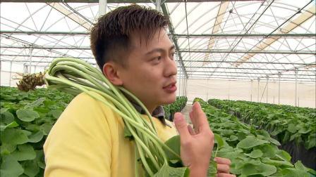 食在好源头 第四季 澳大利亚塔斯马尼亚：山葵 牛肉 裙带菜 绵羊奶 菜籽油