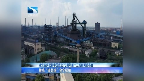 长江新闻号 庆祝新中国成立70周年第十三场新闻发布会