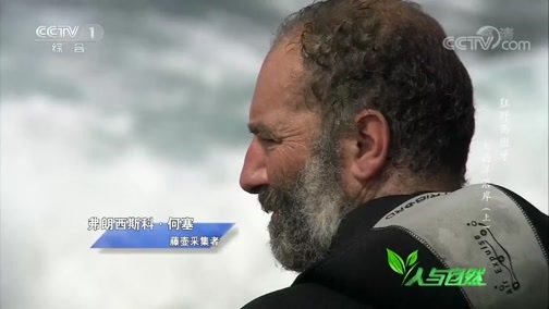 人与自然 《人与自然》 20190221 狂野西班牙——大西洋沿岸（上）