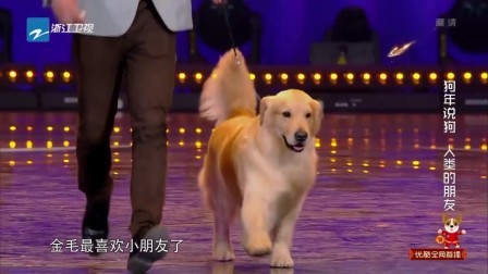 中国蓝燃情贺岁夜 2018 宠物秀《狗年说狗 人类的朋友》