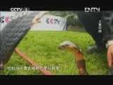 状元360 《旗鼓相当》 20130110