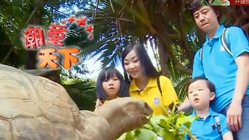 潮童天下 潮童旅行团开启毛里求斯之行