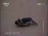 《特别呈现》 20140917 魅力斯里兰卡 第三集 怒放的生命