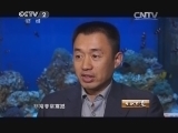 生财有道 《生财有道》 20141119 郑雅非的海洋天堂