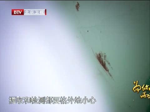 为你而歌 《为你而歌》 20120815 第十部 法网柔情