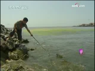 快乐体验 快乐体验 2008年 第75期
