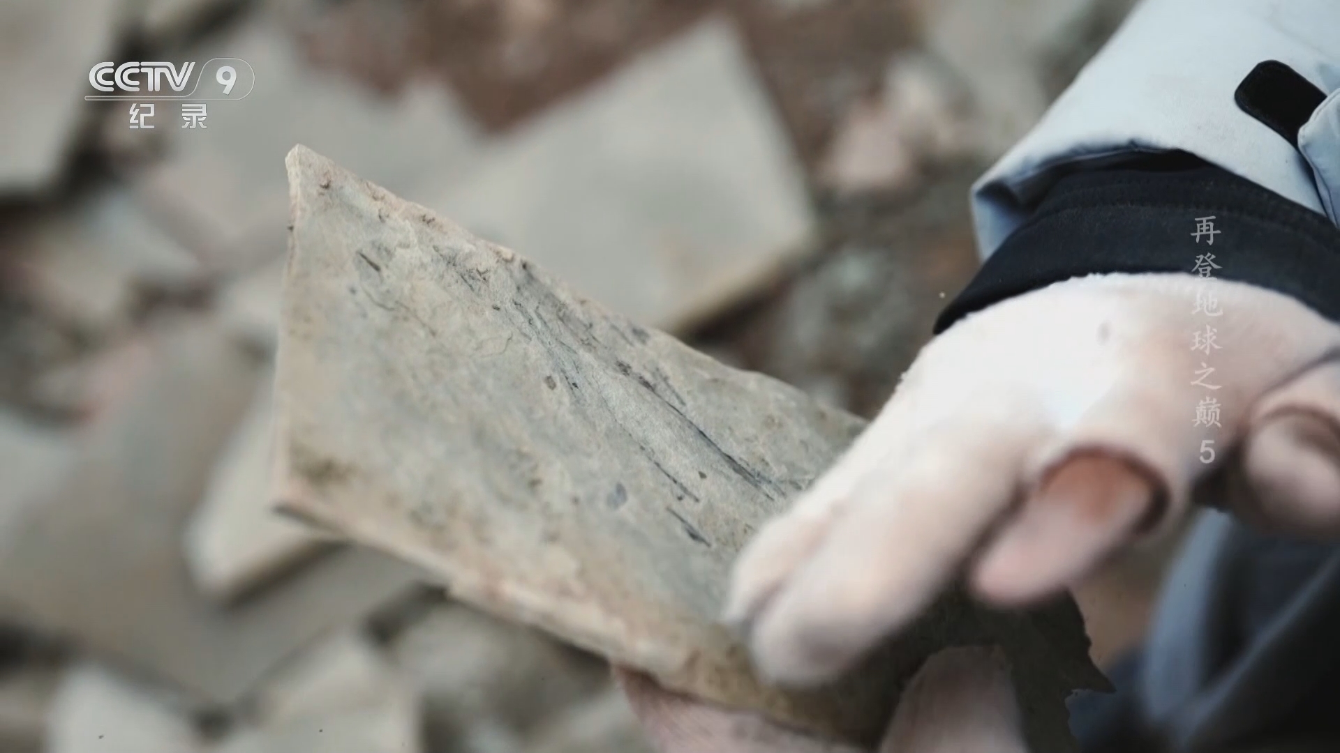 《再登地球之巅》 第5集 时间之尺