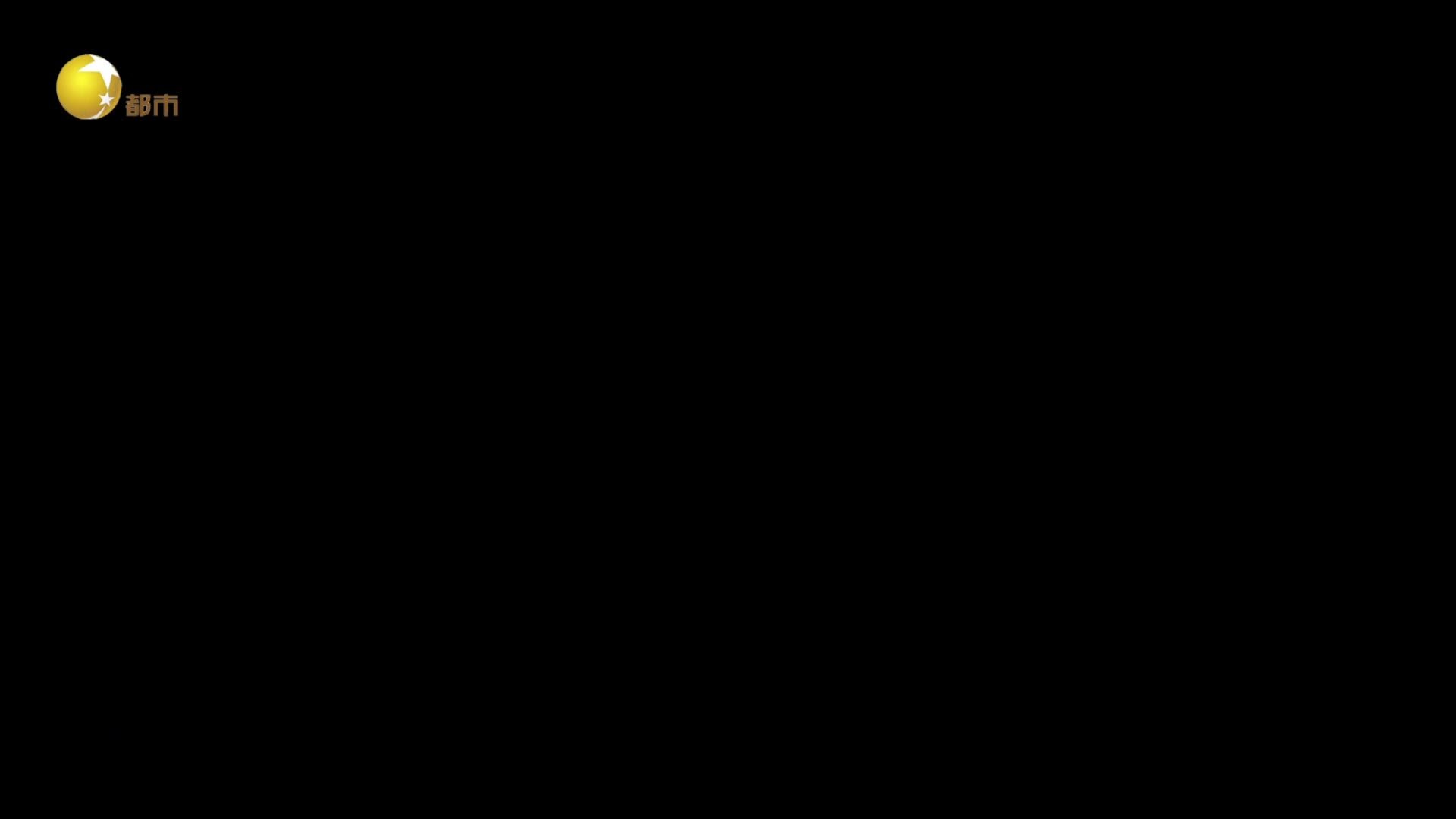 伟大的长征 《伟大的长征》第3集