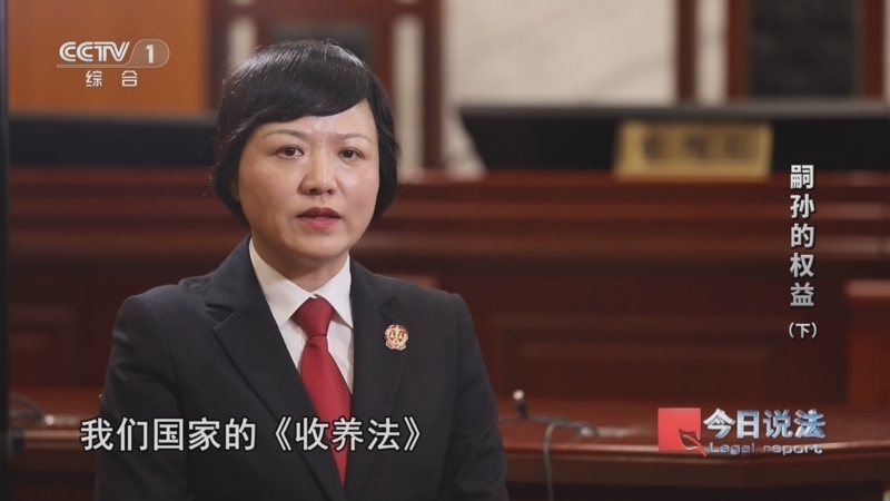 今日说法 《今日说法》 20240517 嗣孙的权益（下）