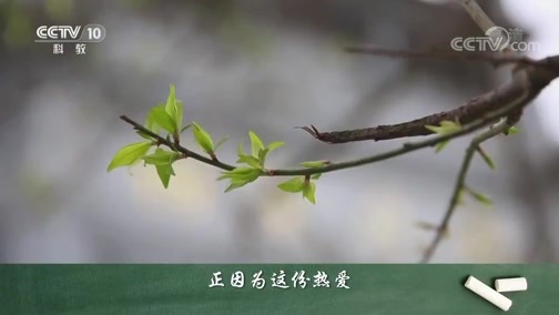 百家讲坛 《百家讲坛》 20200319 爱上语文 12 语文学习的三重境界