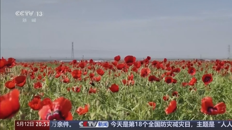 东方时空 《东方时空》 20260512