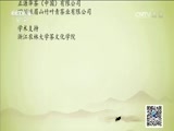 《万象》 20141002 茶·一片树叶的故事 第四集 他乡 故乡