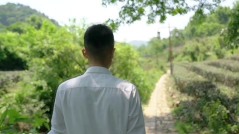 更杭州 爸爸的茶园