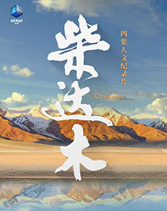 柴达木 海报
