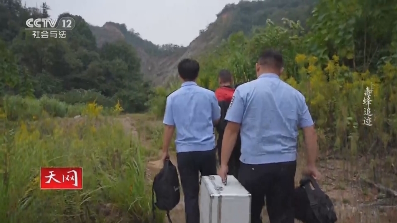 《天网》 20260323 毒蜂追迹