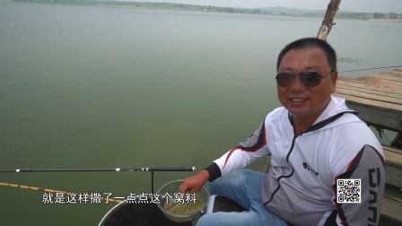 钓鱼的故事 小崔回忆在鴜鹭湖如何解决闹小鱼