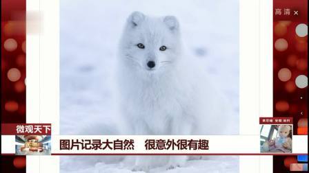 每日新闻报 医生微信群提供咨询 及时回答患者问题