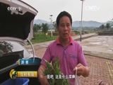 生财有道 《生财有道》 20160609 来自扶贫一线的报道：广东新丰扶贫纪实