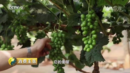 消费主张 《消费主张》 20190523 水果里的消费升级：网红青提为何受欢迎？