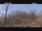 小区大事 《小区大事》 20131214 幸福在哪里