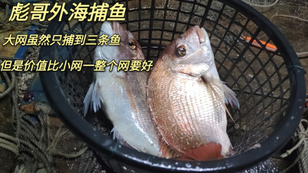 彪哥外海捕鱼，大网虽然只上3条鱼，但是价值要比小网的一整网要好