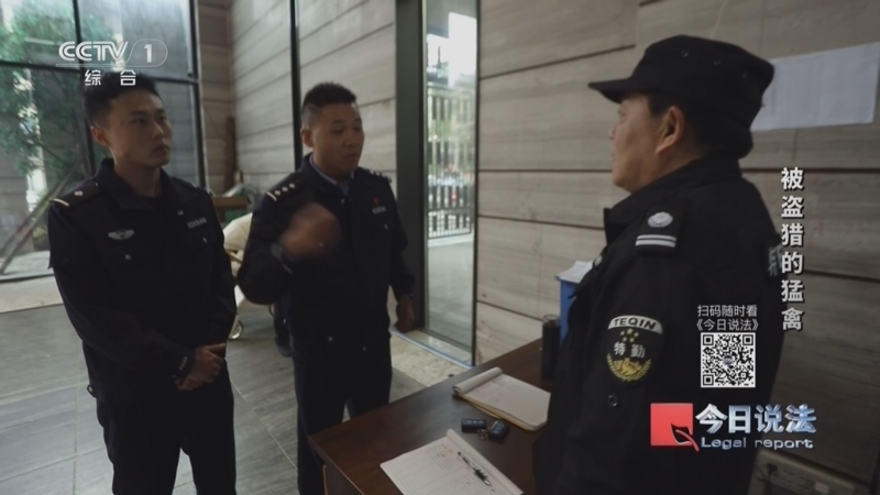 《今日说法》 20260331 被盗猎的猛禽