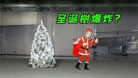 流言终结篇第三季 流言终结者：往圣诞树上喷液氮，圣诞树会发生爆炸吗
