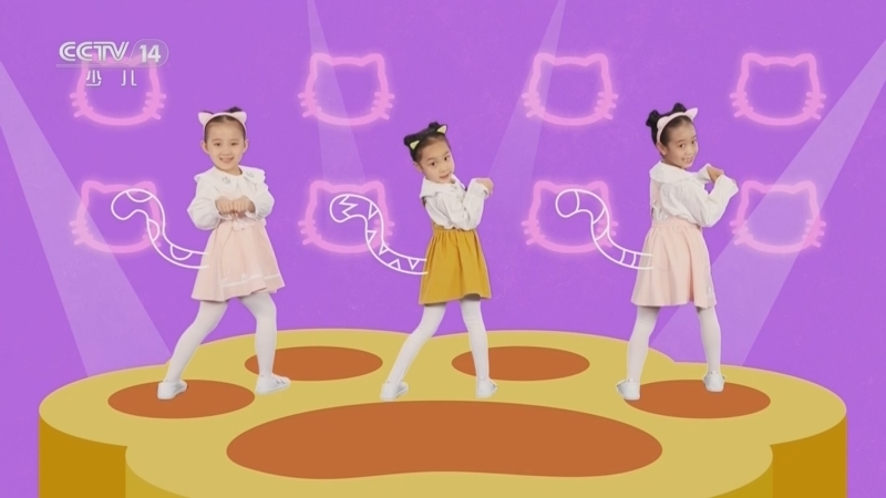 小小智慧树 《小小智慧树》 20231226