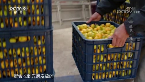 《时代》 20181113 遇见·橘子红了 第二集 世界橘都