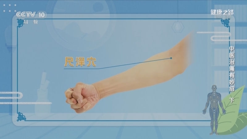 健康之路 《健康之路》 20221230 中医治痛有妙招（下）