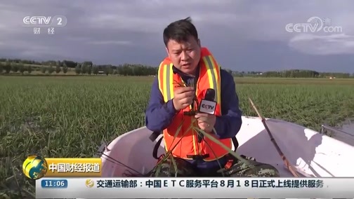 中国财经报道 《中国财经报道》 20190819 11:00