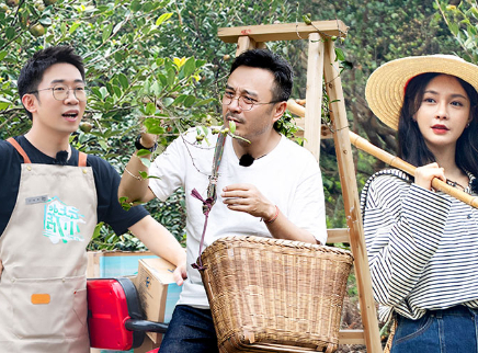 第2期：汪涵沈梦辰摘茶籽