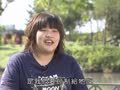 动物大明星 动物大明星 猪