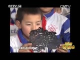 新闻袋袋裤 《新闻袋袋裤》 20150504