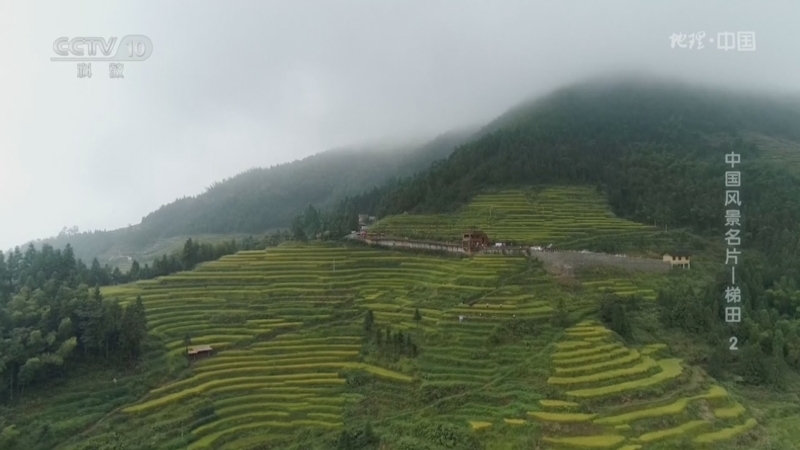 地理中国 《地理·中国》 20260705 中国风景名片——梯田2